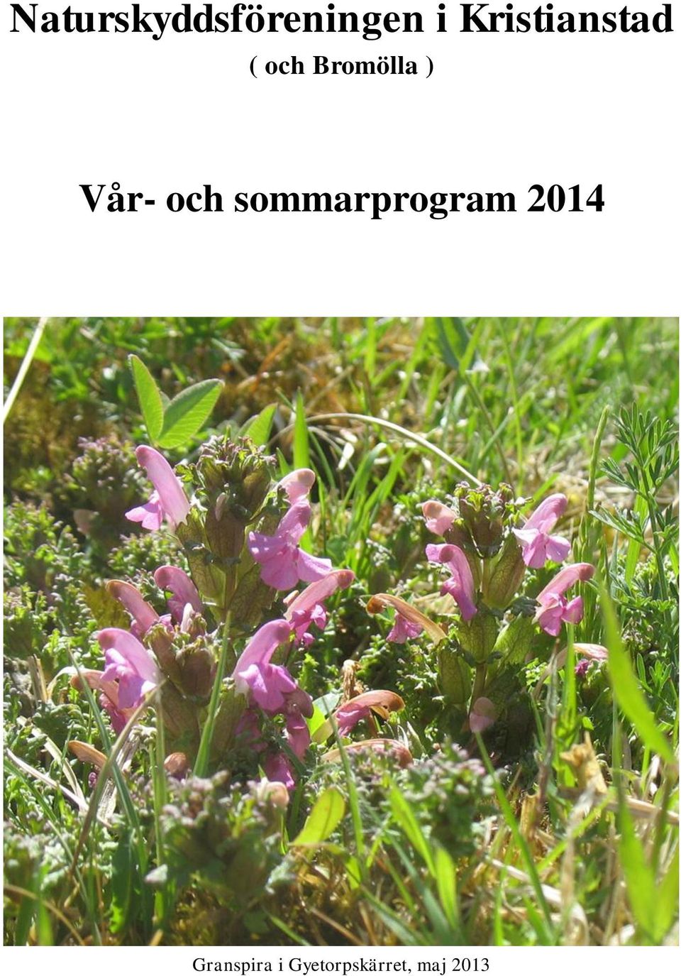 Vår- och sommarprogram 2014
