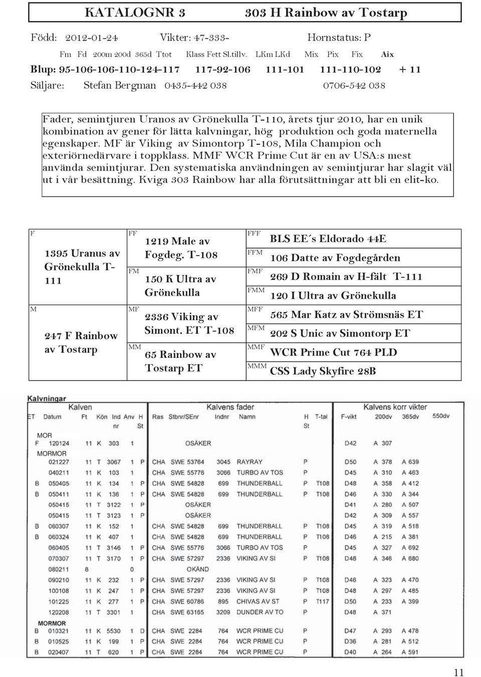 MF är Viking av Simontorp T-108, Mila Champion och exteriörnedärvare i toppklass. F WCR Prime Cut är en av USA:s mest använda semintjurar.