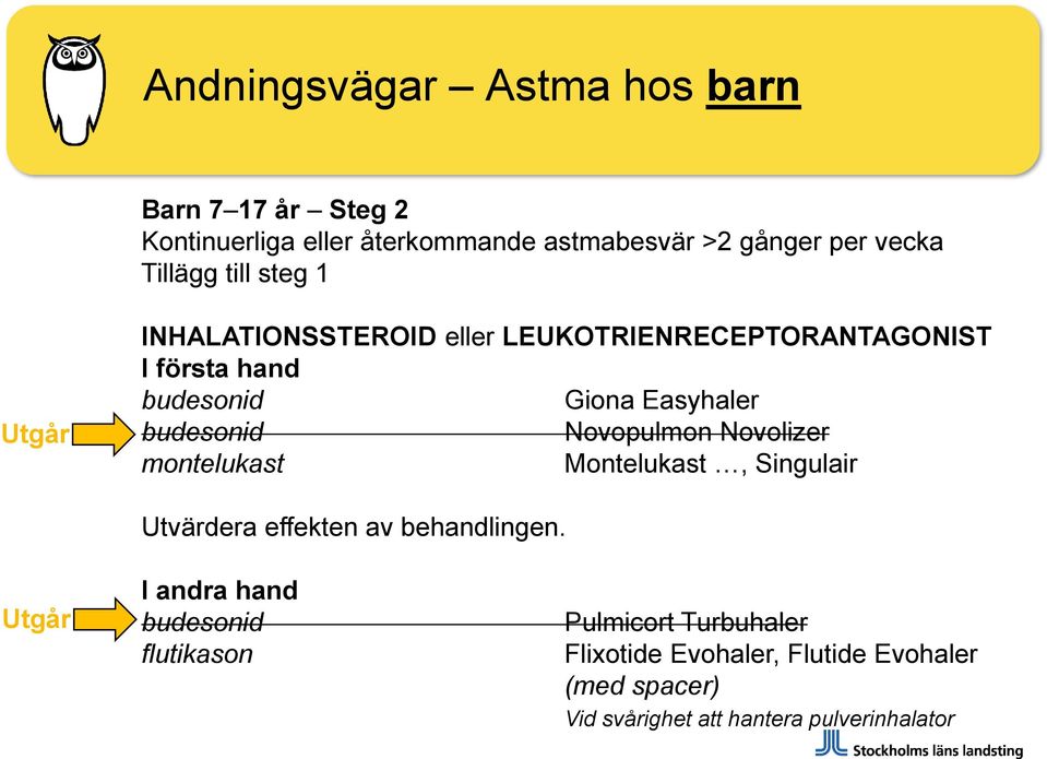 Novopulmon Novolizer montelukast Montelukast, Singulair Utvärdera effekten av behandlingen.