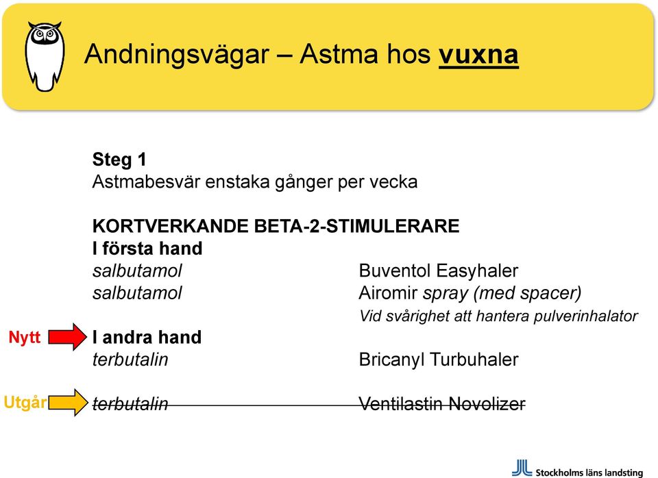 Easyhaler salbutamol I andra hand terbutalin Airomir spray (med spacer) Vid