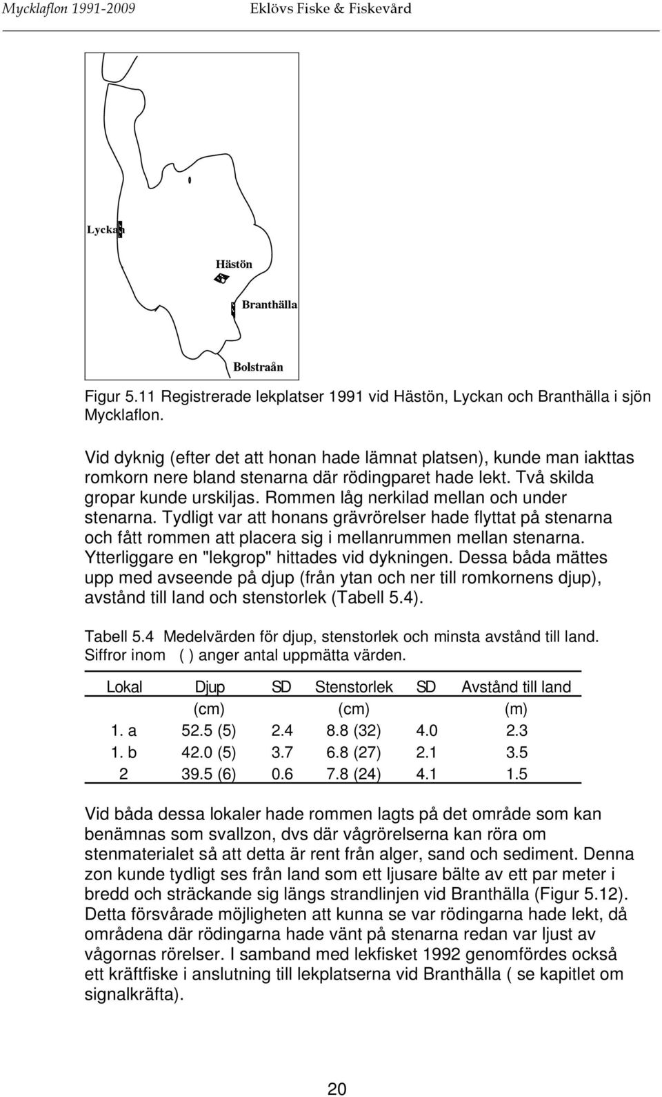 Rommen låg nerkilad mellan och under stenarna. Tydligt var att honans grävrörelser hade flyttat på stenarna och fått rommen att placera sig i mellanrummen mellan stenarna.