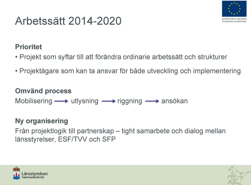 implementering Omvänd process Mobilisering utlysning riggning ansökan Ny organisering