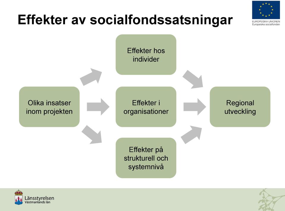 projekten Effekter i organisationer