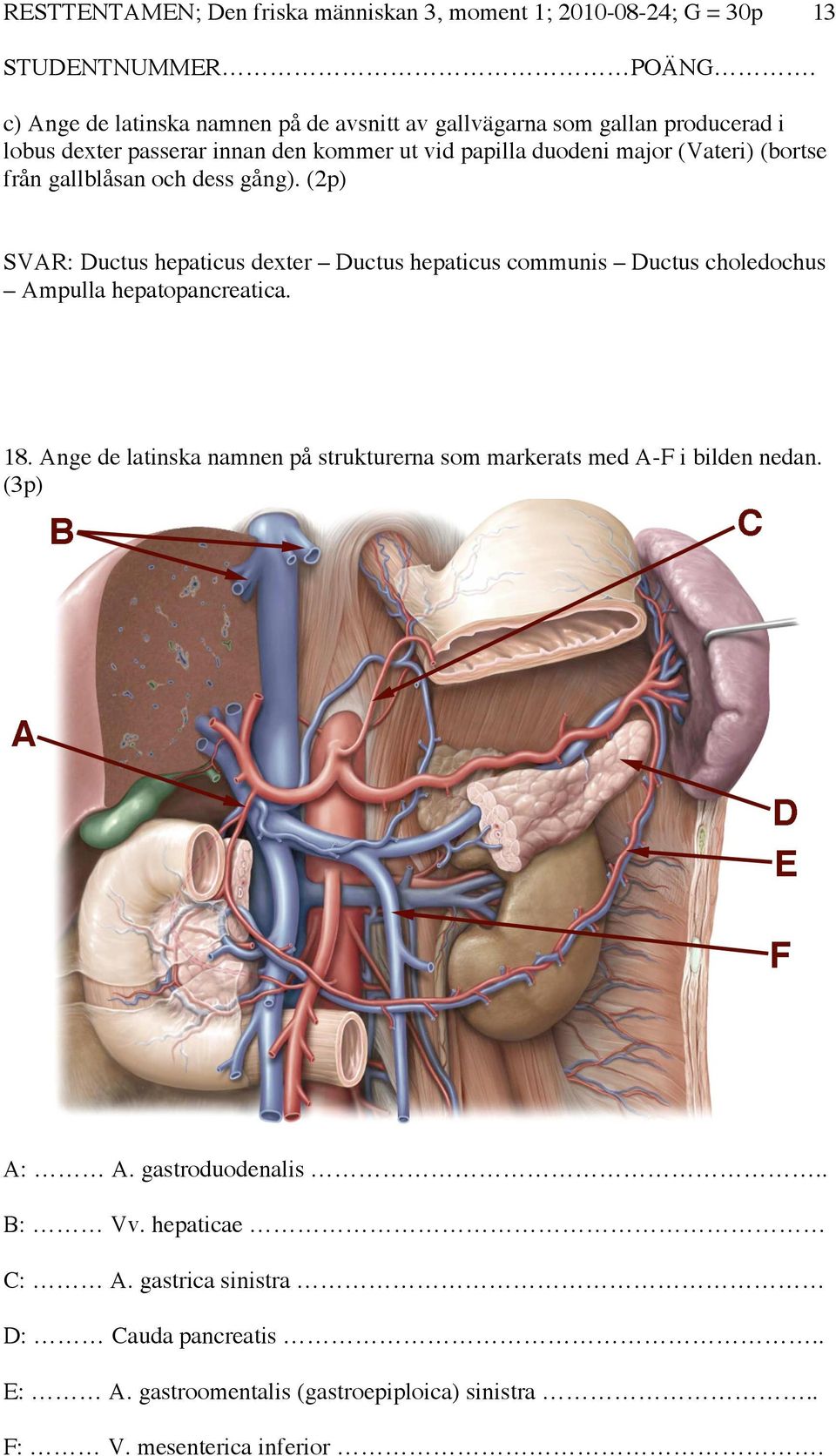 (2p) SVAR: Ductus hepaticus dexter Ductus hepaticus communis Ductus choledochus Ampulla hepatopancreatica. 18.