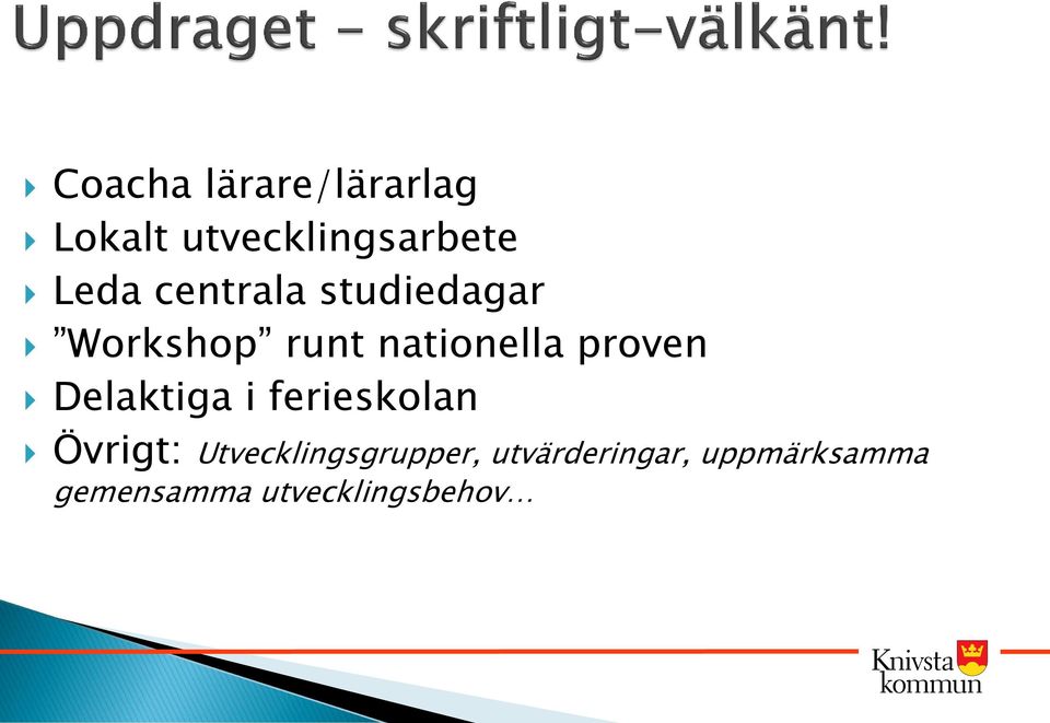 Delaktiga i ferieskolan Övrigt: Utvecklingsgrupper,