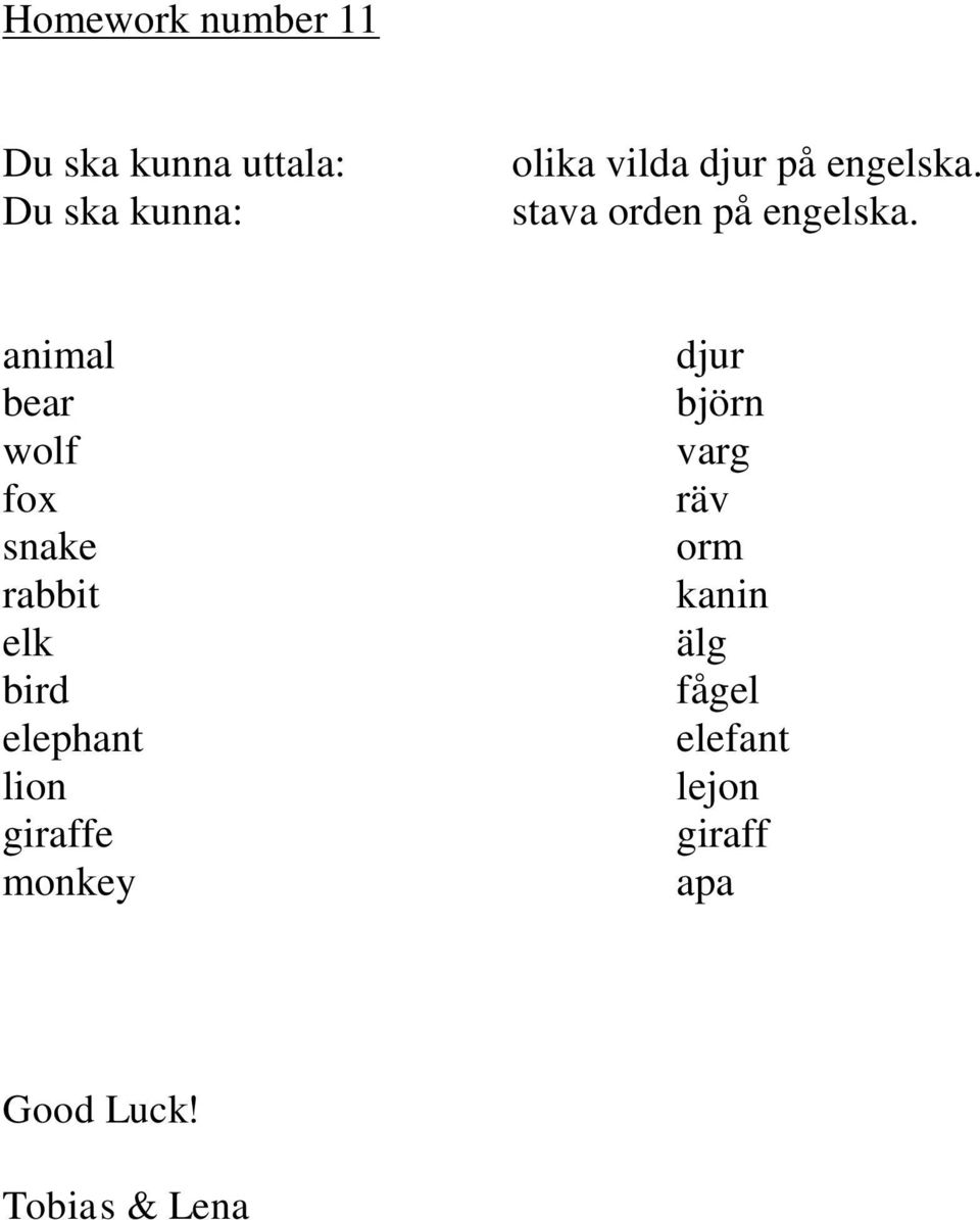 animal bear wolf fox snake rabbit elk bird