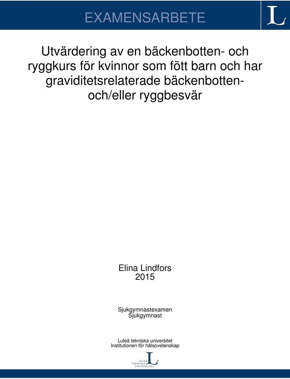 bäckenbottenoch/eller ryggbesvär Elina Lindfors 2015