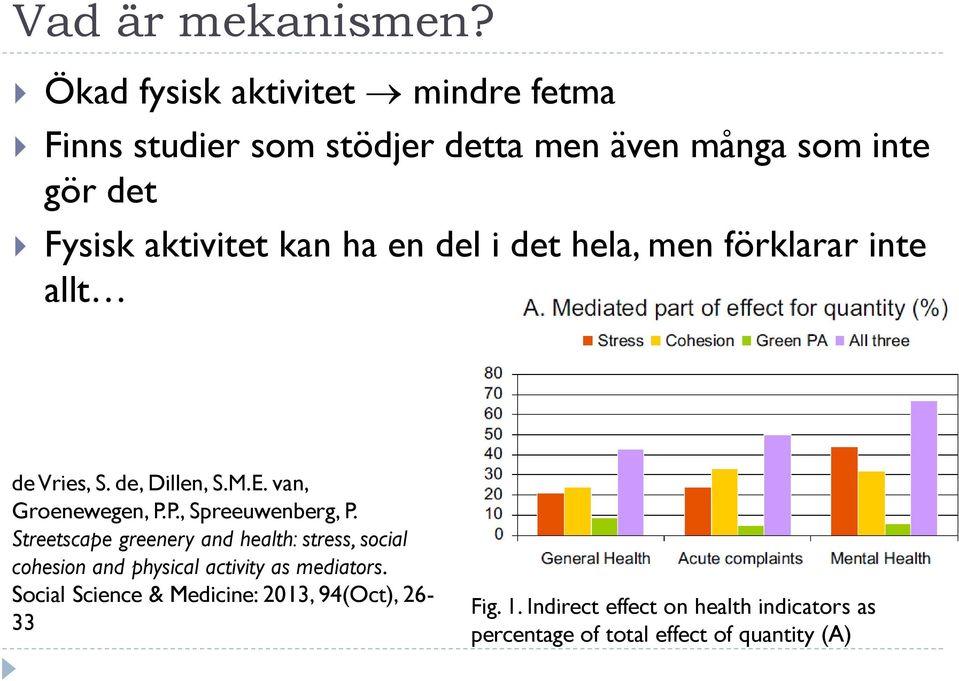 en del i det hela, men förklarar inte allt de Vries, S. de, Dillen, S.M.E. van, Groenewegen, P.P., Spreeuwenberg, P.