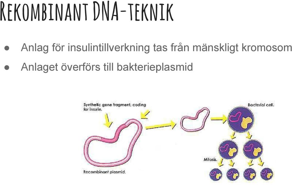 från mänskligt kromosom