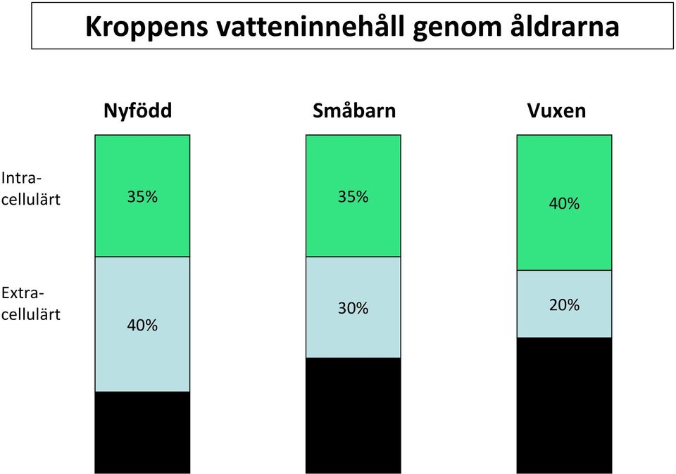 Småbarn Vuxen Intracellulärt