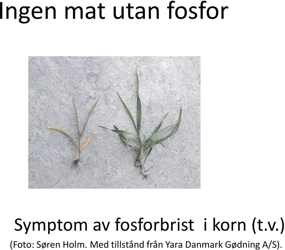 Med tillstånd från Yara