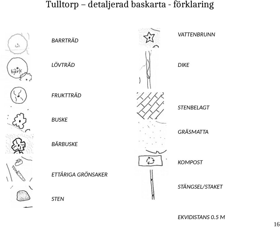 STENBELAGT BUSKE GRÄSMATTA BÄRBUSKE KOMPOST