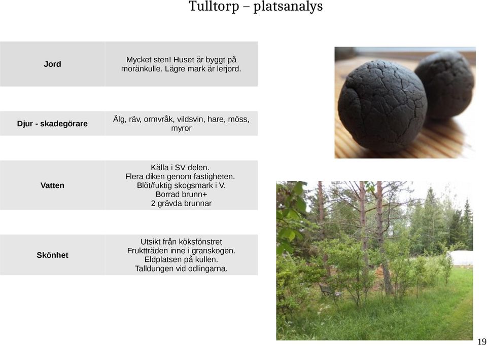 Flera diken genom fastigheten. Blöt/fuktig skogsmark i V.