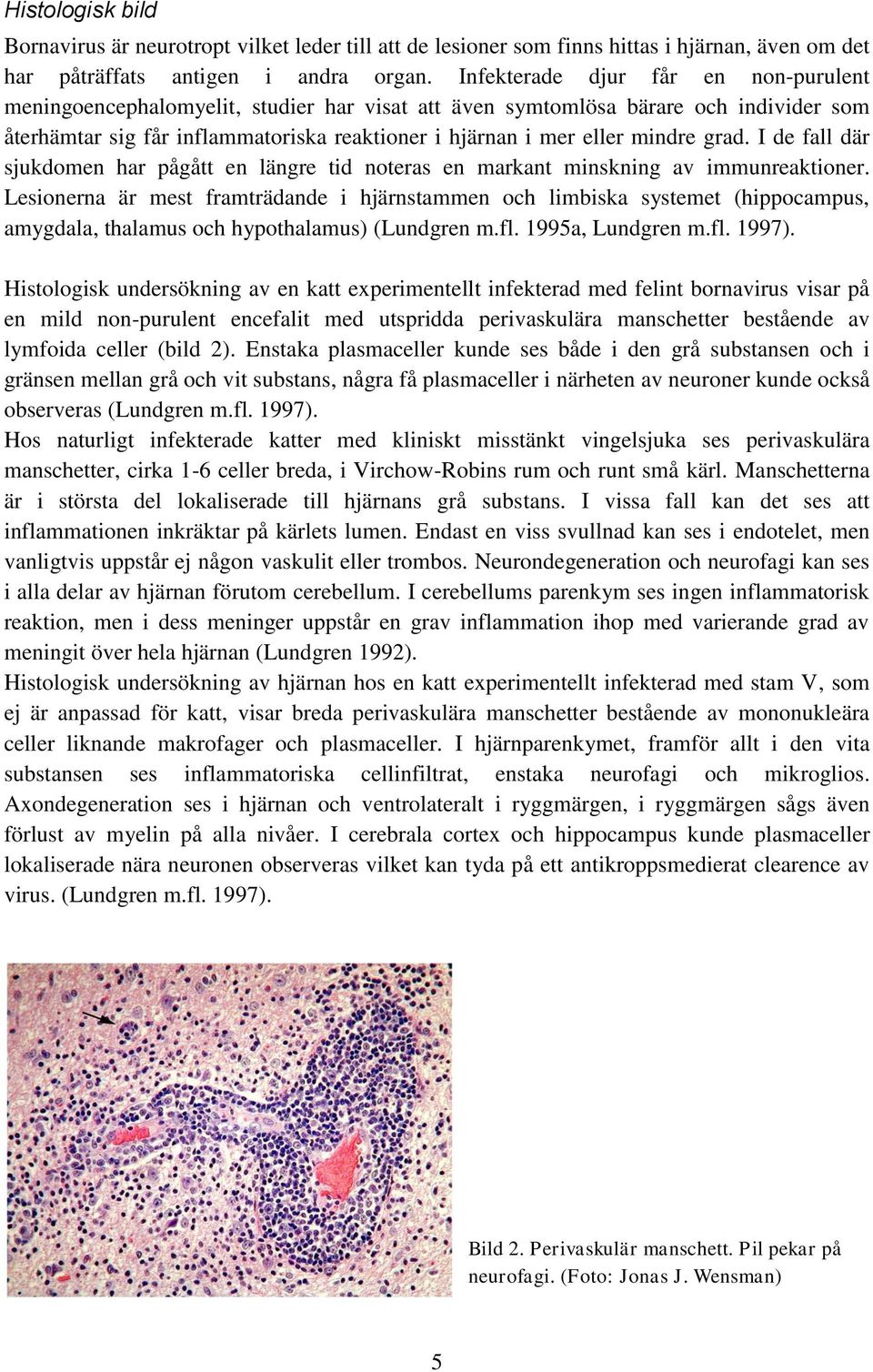 grad. I de fall där sjukdomen har pågått en längre tid noteras en markant minskning av immunreaktioner.