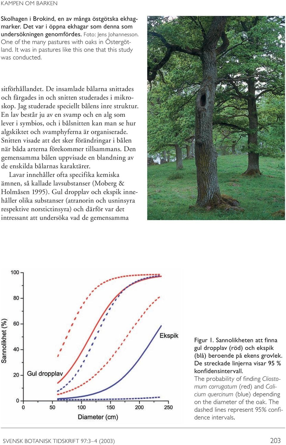 De insamlade bålarna snittades och färgades in och snitten studerades i mikroskop. Jag studerade speciellt bålens inre struktur.