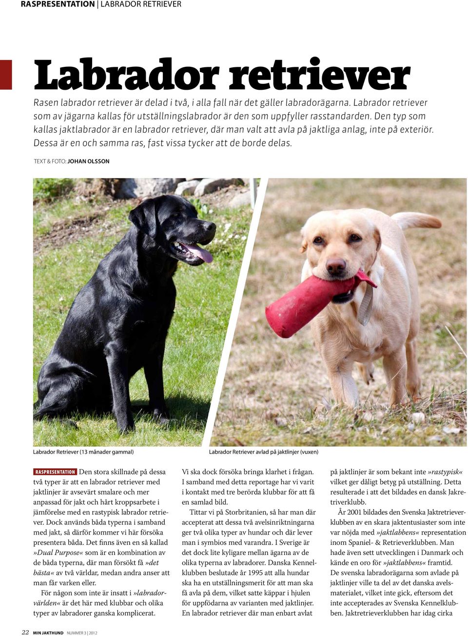 Den typ som kallas jaktlabrador är en labrador retriever, där man valt att avla på jaktliga anlag, inte på exteriör. Dessa är en och samma ras, fast vissa tycker att de borde delas.