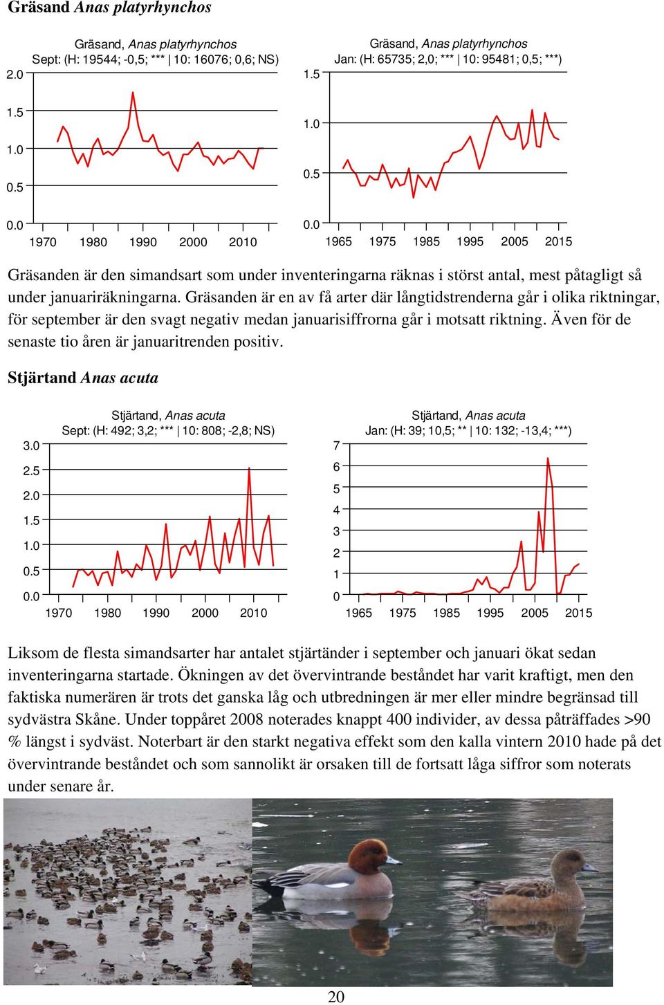 2005 2015 Gräsanden är den simandsart som under inventeringarna räknas i störst antal, mest påtagligt så under januariräkningarna.