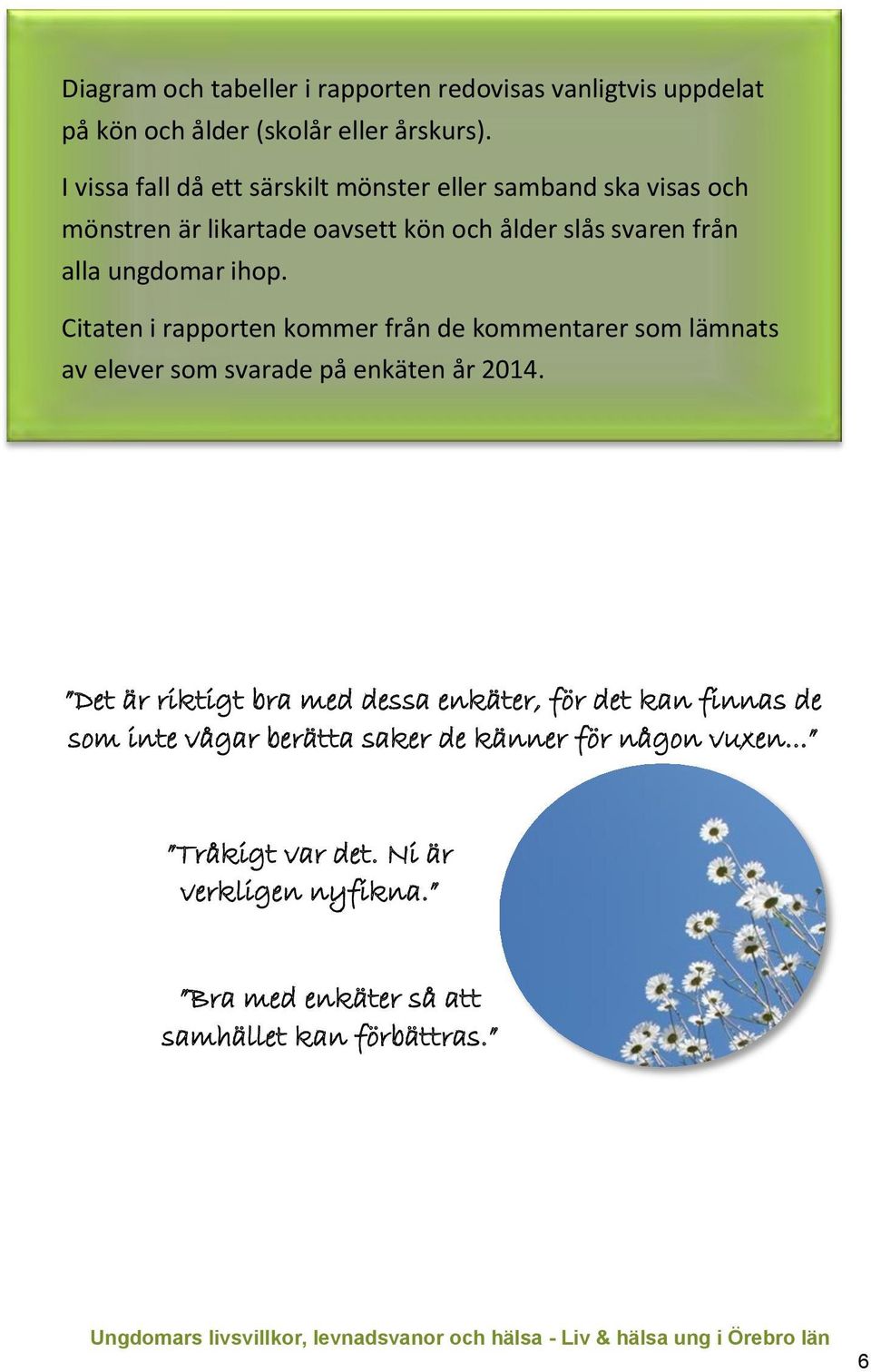 ihop. Citaten i rapporten kommer från de kommentarer som lämnats av elever som svarade på enkäten år 2014.