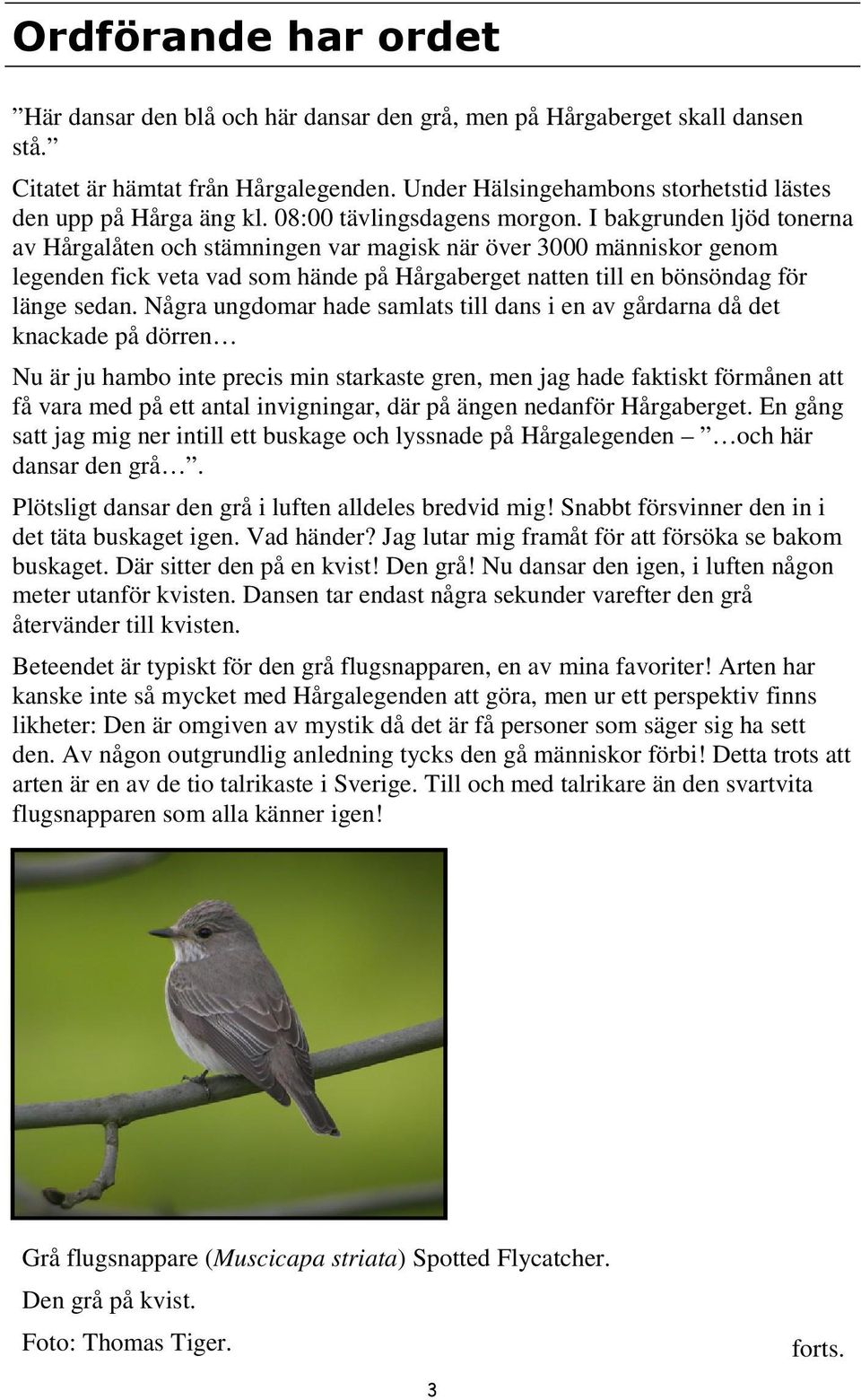 I bakgrunden ljöd tonerna av Hårgalåten och stämningen var magisk när över 3000 människor genom legenden fick veta vad som hände på Hårgaberget natten till en bönsöndag för länge sedan.