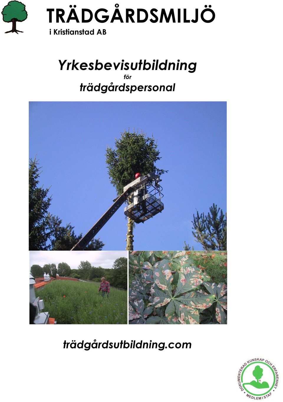 Yrkesbevisutbildning för