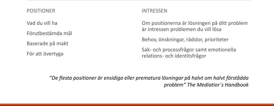 rädslor, prioriteter Sak- och processfrågor samt emotionella relations- och identitsfrågor De