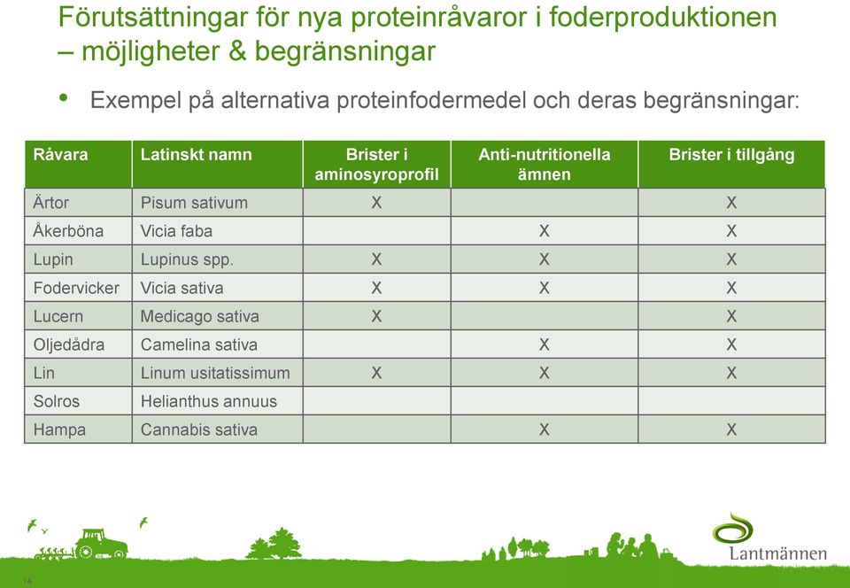 Brister i tillgång Ärtor Pisum sativum X X Åkerböna Vicia faba X X Lupin Lupinus spp.