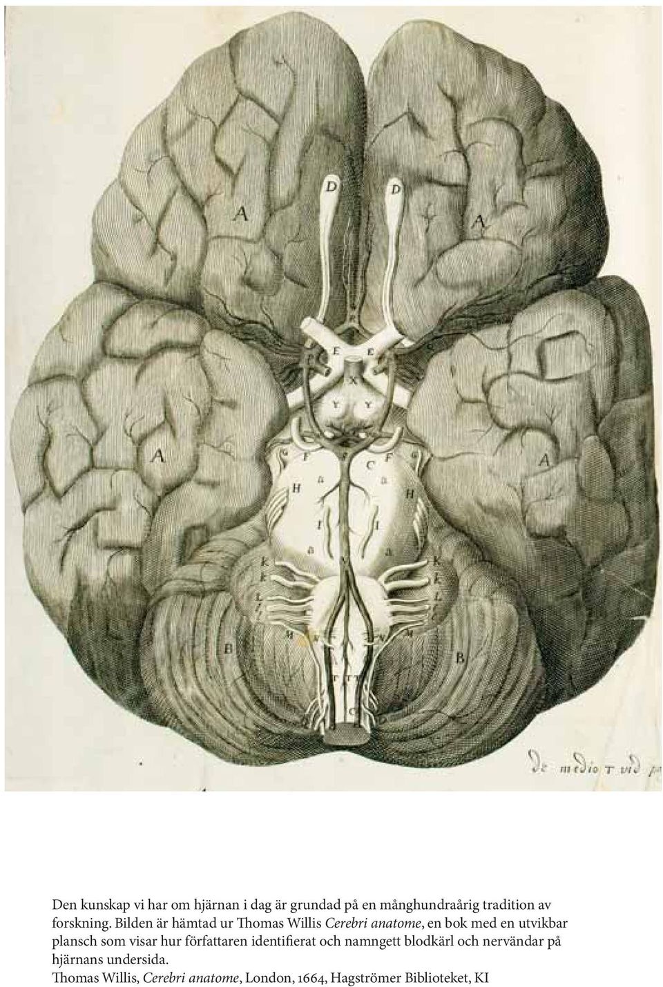 Bilden är hämtad ur Thomas Willis Cerebri anatome, en bok med en utvikbar plansch som