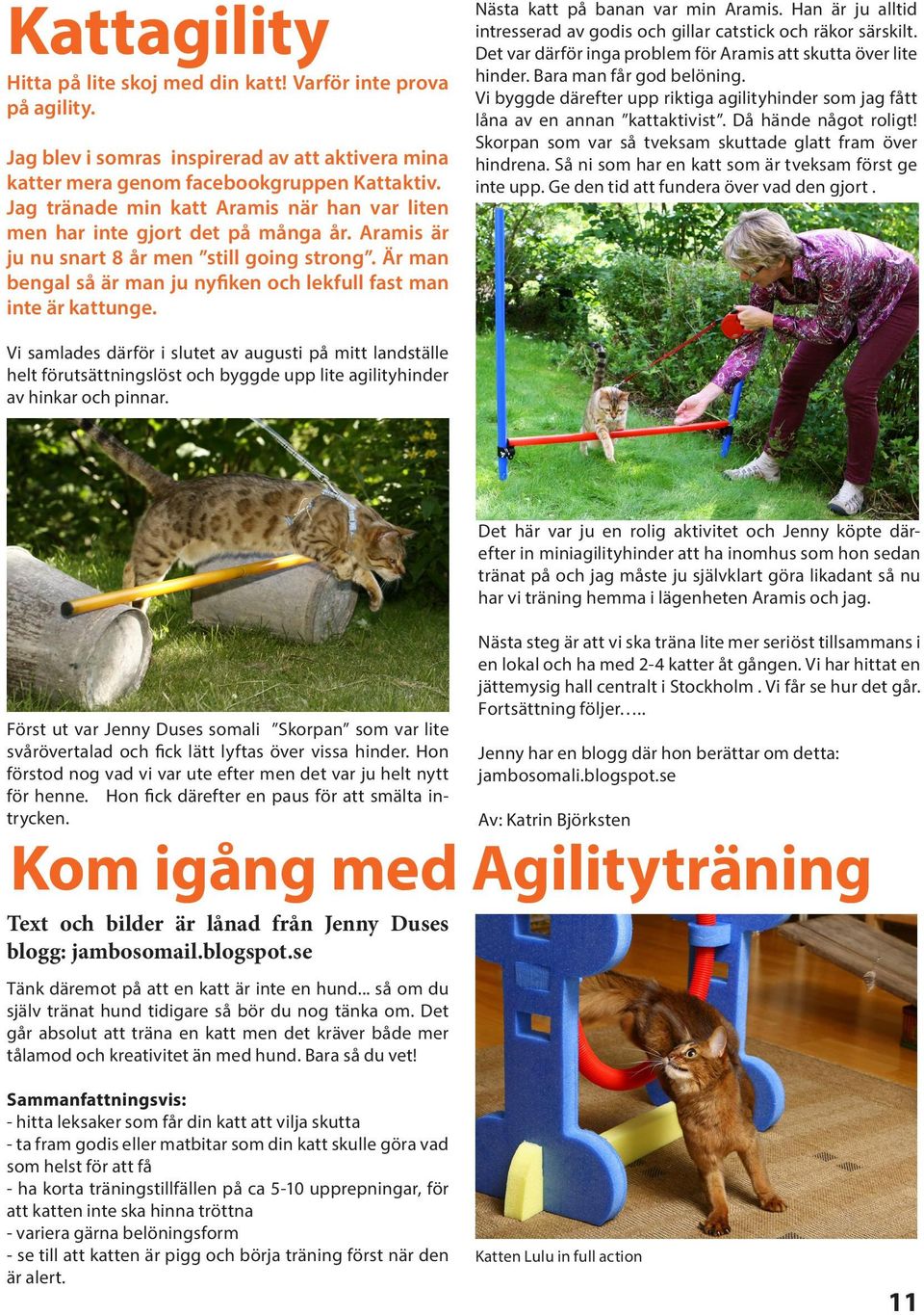 Är man bengal så är man ju nyfiken och lekfull fast man inte är kattunge. Nästa katt på banan var min Aramis. Han är ju alltid intresserad av godis och gillar catstick och räkor särskilt.