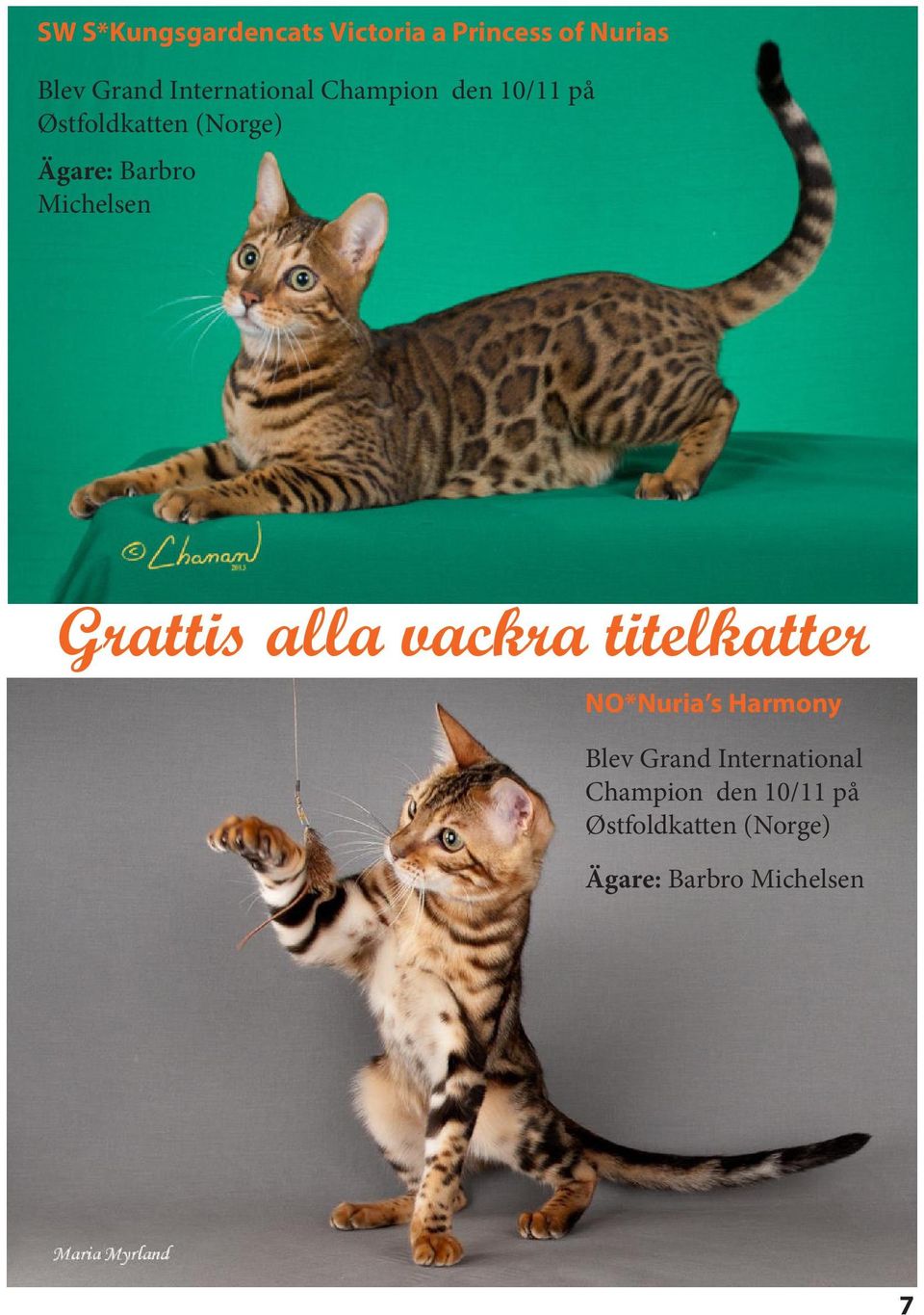 Michelsen Grattis alla vackra titelkatter NO*Nuria s Harmony Blev Grand 