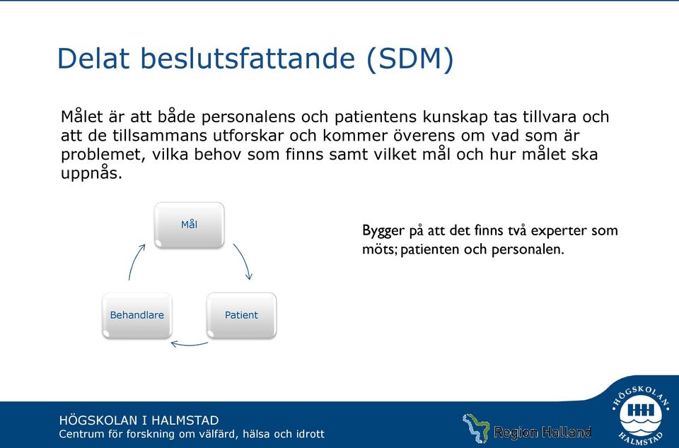 problemet, vilka behov som finns samt vilket mål och hur målet ska uppnås.