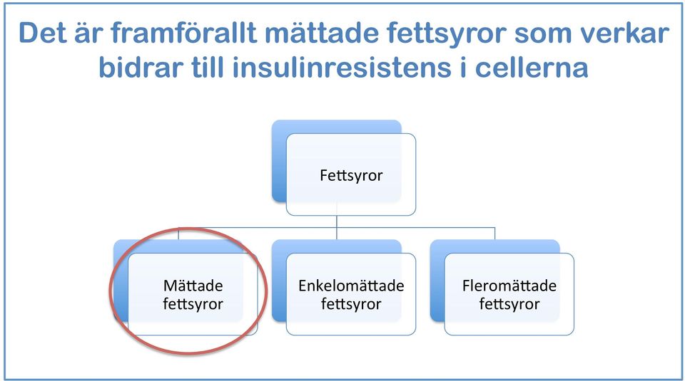 insulinresistens i cellerna Fe#syror