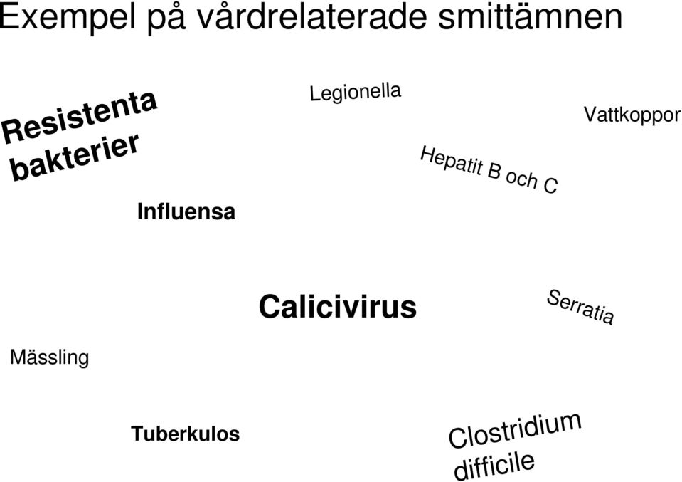 och C Influensa Vattkoppor Serratia