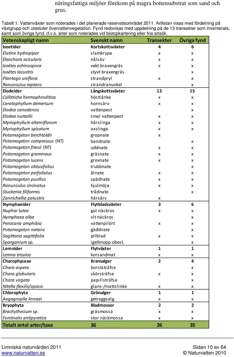Vetenskapligt namn Svenskt namn Transekter Övriga fynd Isoetider Kortskottsväxter 4 6 Elatine hydropiper slamkrypa x x Eleocharis acicularis nålsäv x x Isoëtes echinospora vekt braxengräs x x Isoëtes