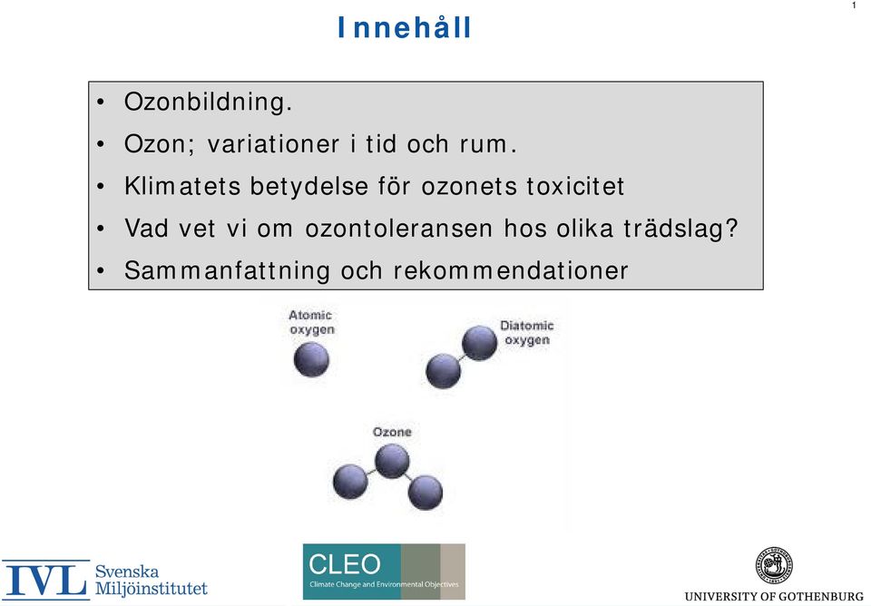 Klimatets betydelse för ozonets toxicitet Vad