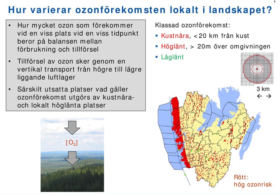 tillförsel Tillförsel av ozon sker genom en vertikal transport från högre till lägre liggande luftlager Särskilt utsatta