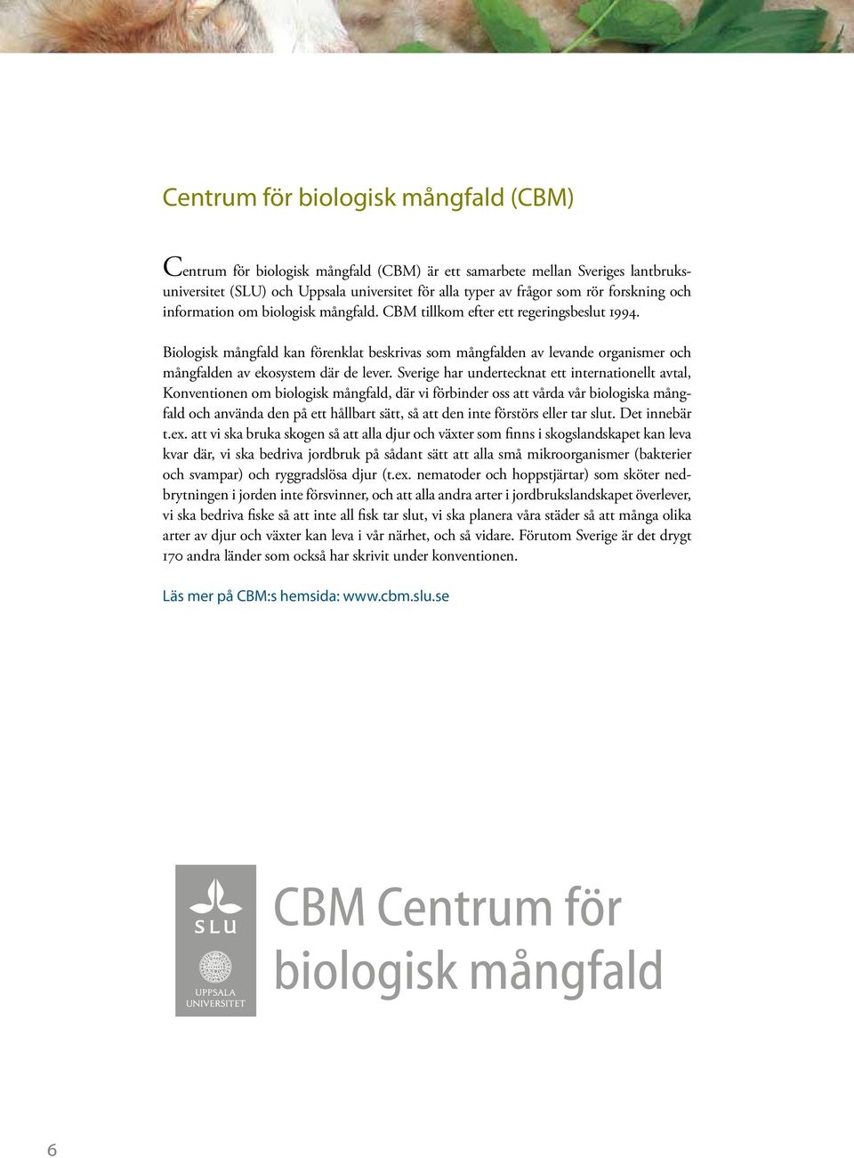 Biologisk mångfald kan förenklat beskrivas som mångfalden av levande organismer och mångfalden av ekosystem där de lever.