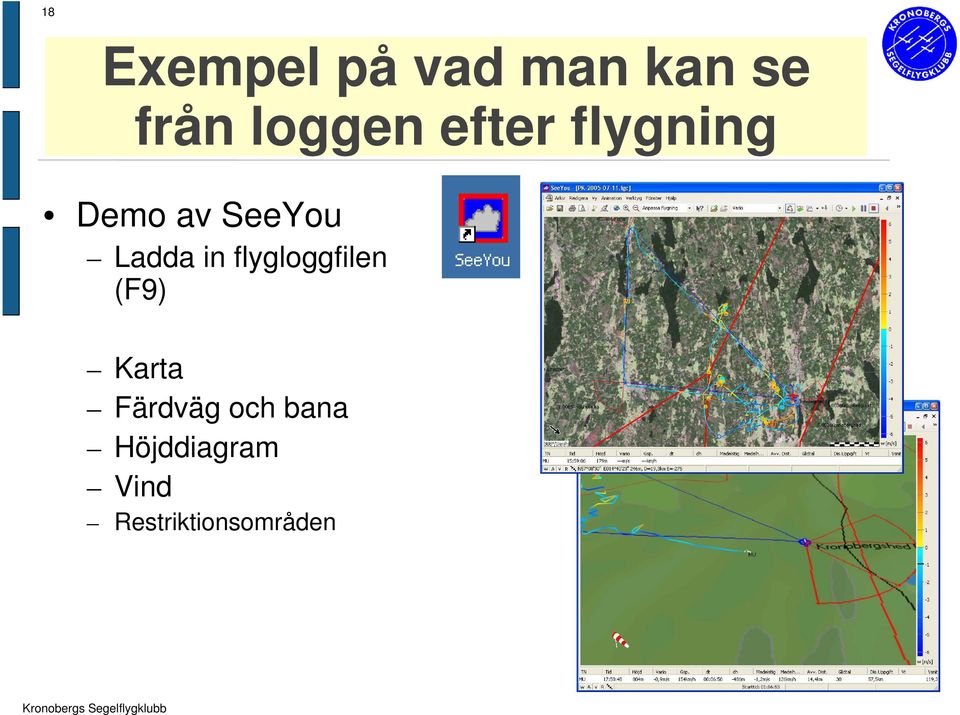 Ladda in flygloggfilen (F9) Karta