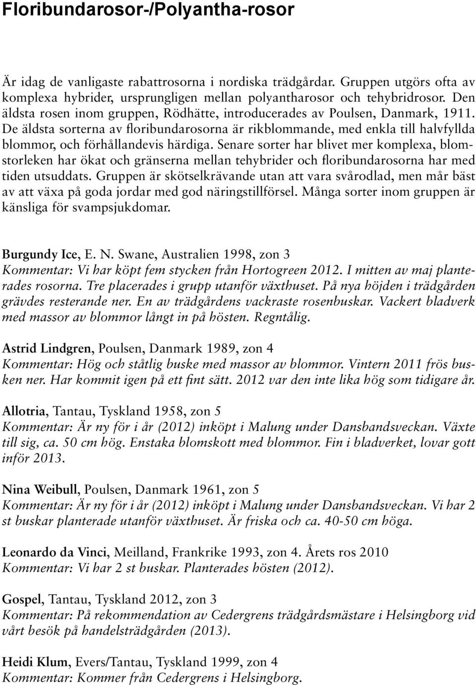 De äldsta sorterna av floribundarosorna är rikblommande, med enkla till halvfyllda blommor, och förhållandevis härdiga.