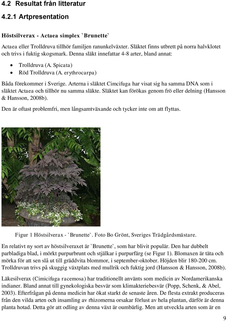 erythrocarpa) Båda förekommer i Sverige. Arterna i släktet Cimcifuga har visat sig ha samma DNA som i släktet Actaea och tillhör nu samma släkte.