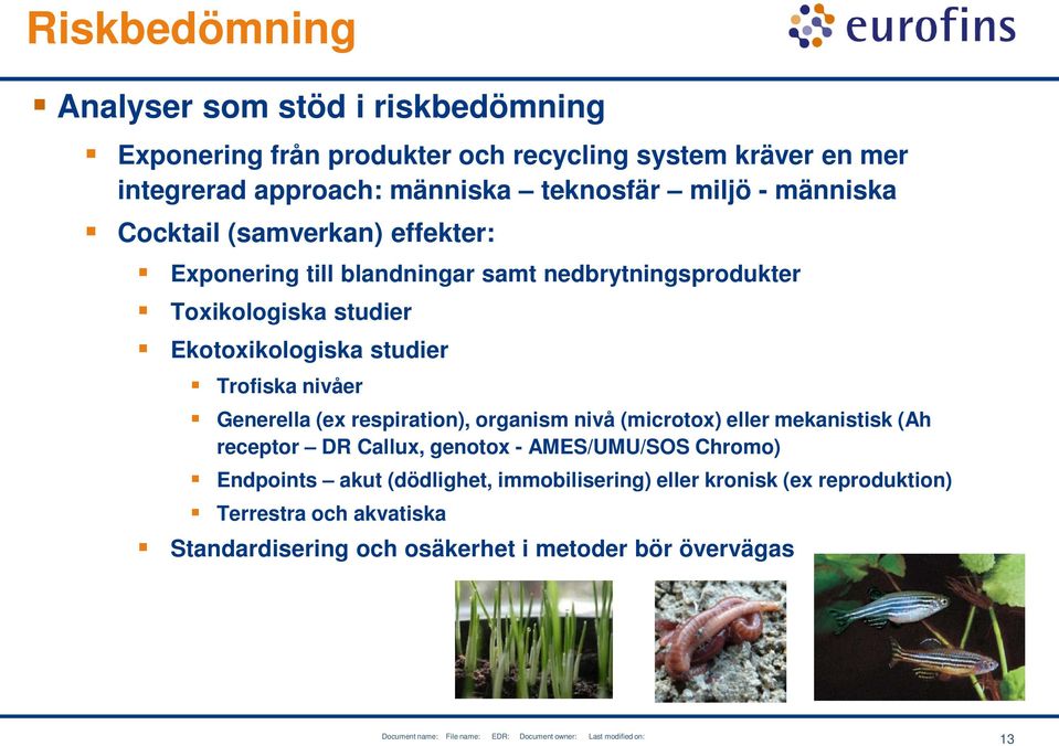 respiration), organism nivå (microtox) eller mekanistisk (Ah receptor DR Callux, genotox - AMES/UMU/SOS Chromo) Endpoints akut (dödlighet, immobilisering) eller