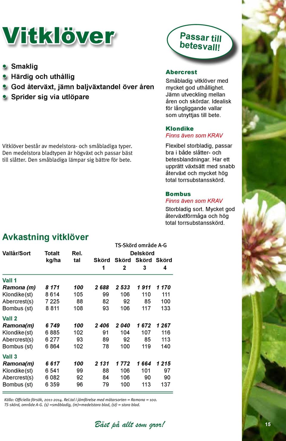 Jämn utveckling mellan åren och skördar. Idealisk för långliggande vallar som utnyttjas till bete. Klondike Finns även som KRAV Flexibel storbladig, passar bra i både slåtter- och betesblandningar.