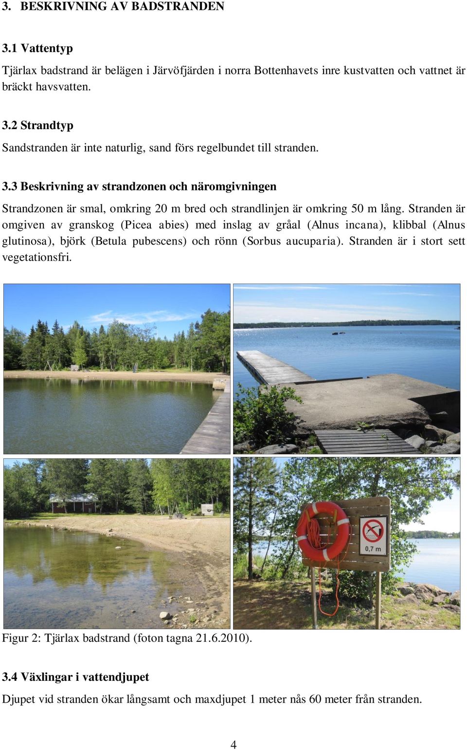 Stranden är omgiven av granskog (Picea abies) med inslag av gråal (Alnus incana), klibbal (Alnus glutinosa), björk (Betula pubescens) och rönn (Sorbus aucuparia).