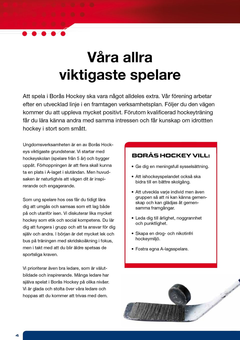 Ungdomsverksamheten är en av Borås Hockeys viktigaste grundstenar. Vi startar med hockeyskolan (spelare från 5 år) och bygger uppåt.