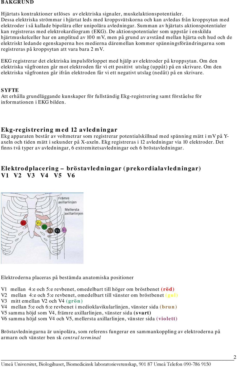 Summan av hjärtats aktionspotentialer kan registreras med elektrokardiogram (EKG).