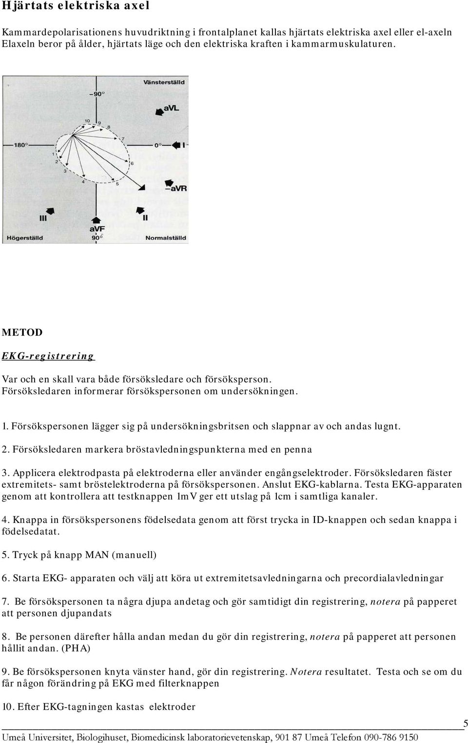 Försökspersonen lägger sig på undersökningsbritsen och slappnar av och andas lugnt. 2. Försöksledaren markera bröstavledningspunkterna med en penna 3.