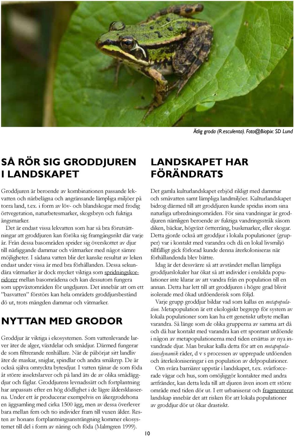 land, t.ex. i form av löv- och blandskogar med frodig örtvegetation, naturbetesmarker, skogsbryn och fuktiga ängsmarker.