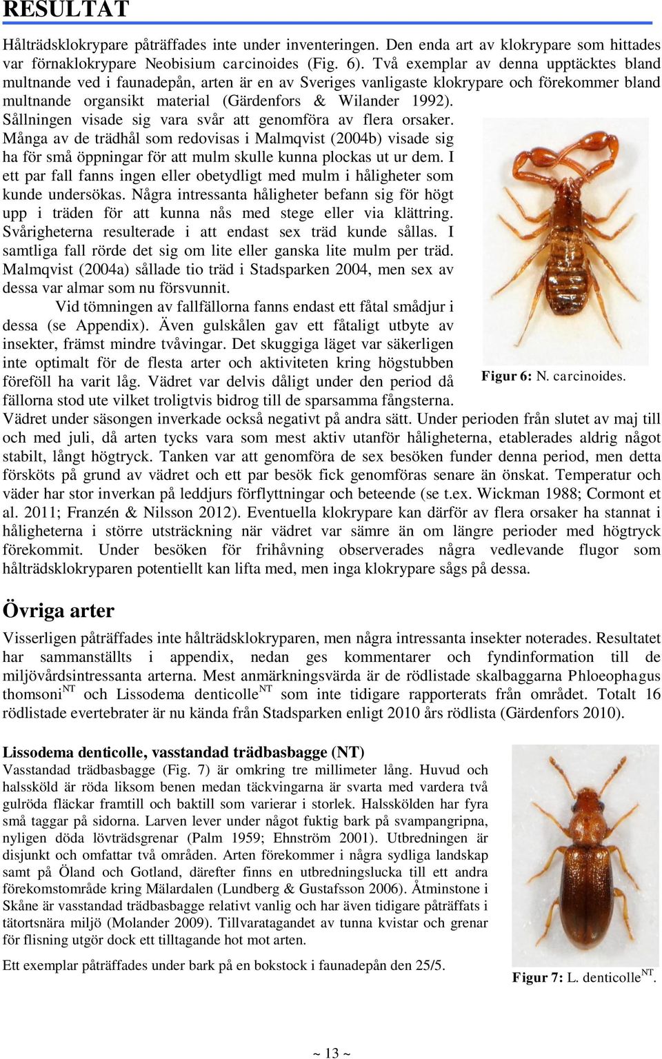 Sållningen visade sig vara svår att genomföra av flera orsaker. Många av de trädhål som redovisas i Malmqvist (2004b) visade sig ha för små öppningar för att mulm skulle kunna plockas ut ur dem.