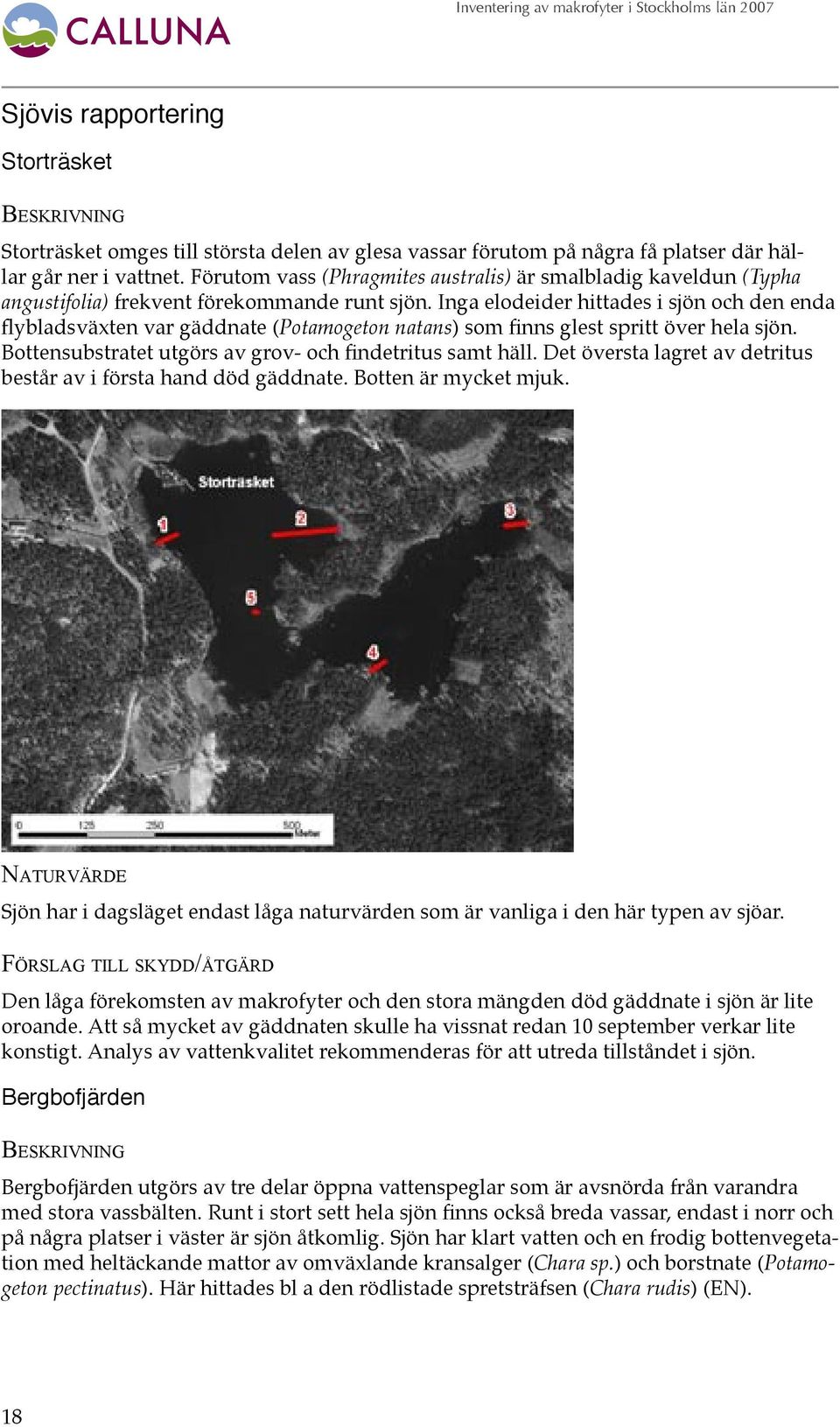 Inga elodeider hittades i sjön och den enda flybladsväxten var gäddnate (Potamogeton natans) som finns glest spritt över hela sjön. Bottensubstratet utgörs av grov- och findetritus samt häll.