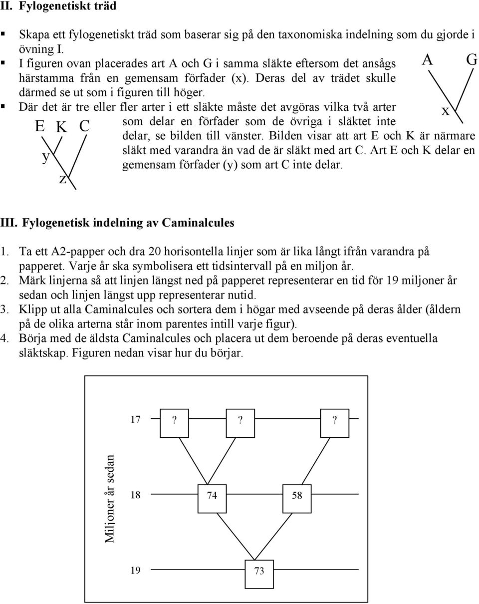 A G Där det är tre eller fler arter i ett släkte måste det avgöras vilka två arter x E som delar en förfader som de övriga i släktet inte K C delar, se bilden till vänster.