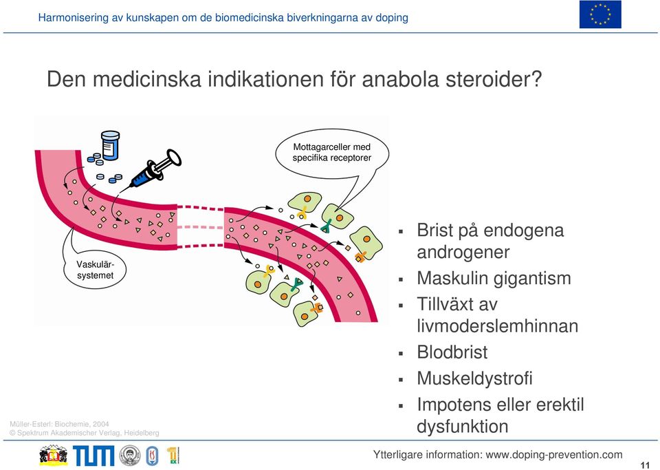 Biochemie, 2004 Spektrum Akademischer Verlag, Heidelberg Brist på endogena